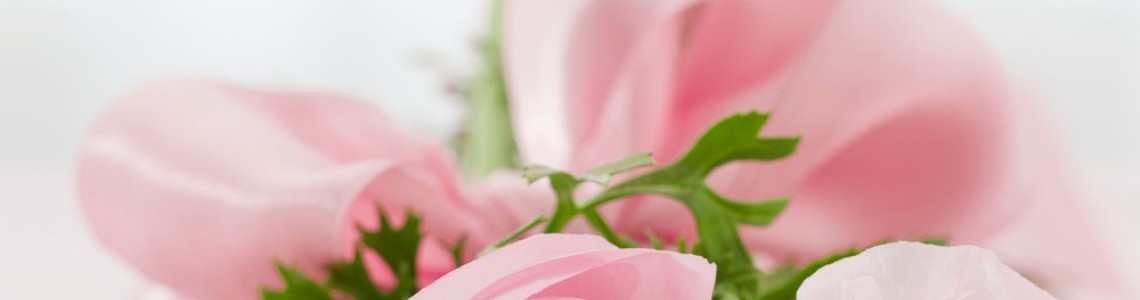Flowers Flowers